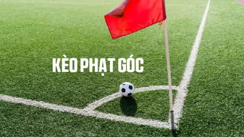 Các yếu tố dữ liệu quyết định xác suất phạt góc